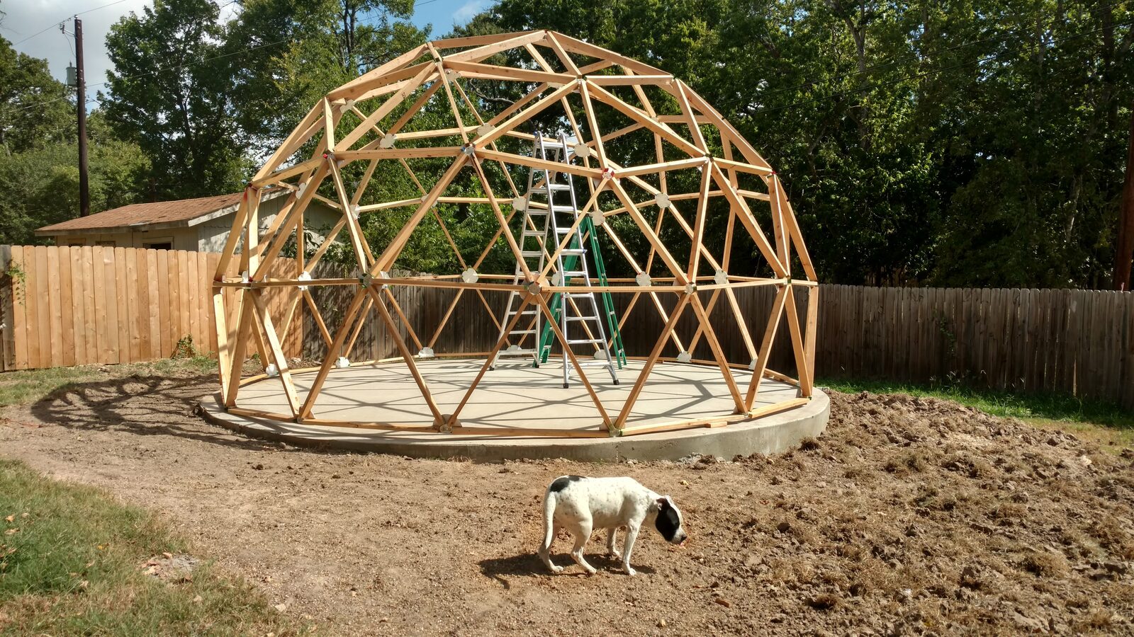 Dome frame half assembled, supervised by the dog